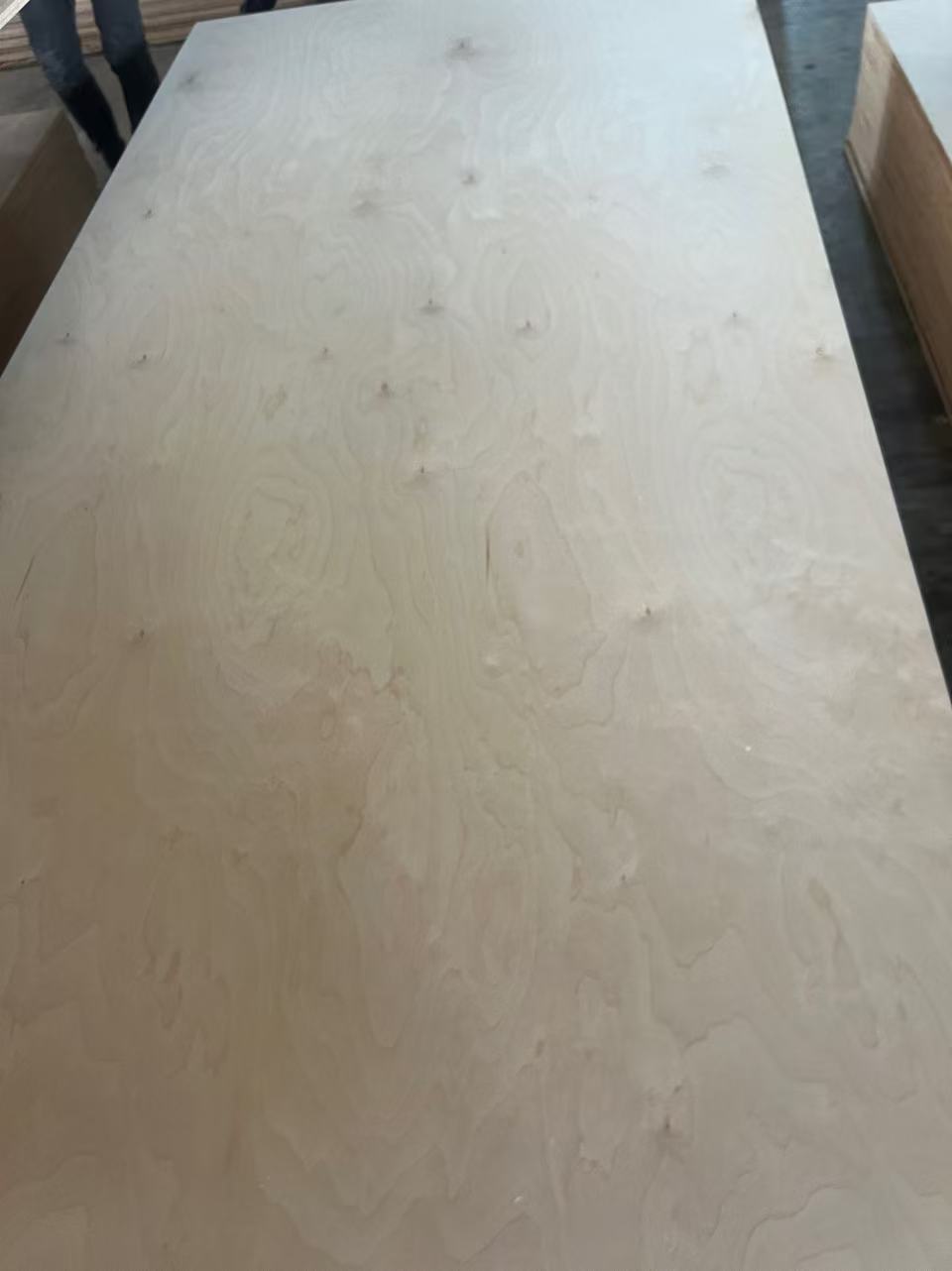 Birch plywood