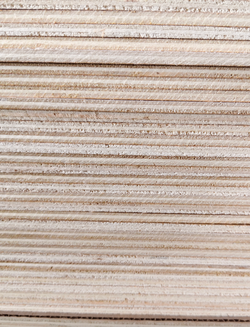 Birch plywood